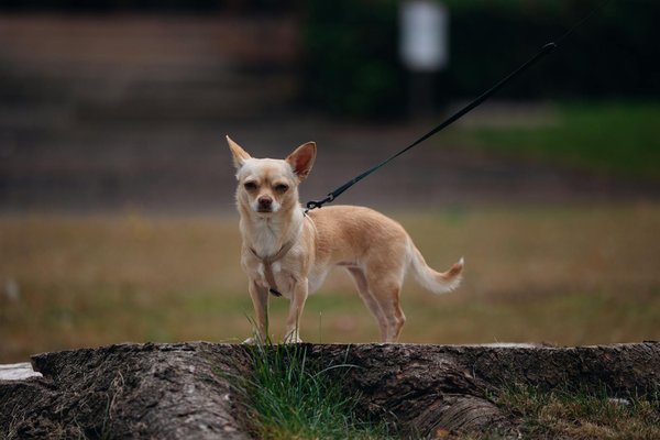 Les symptômes de la ménopause : ce qu'il faut savoir